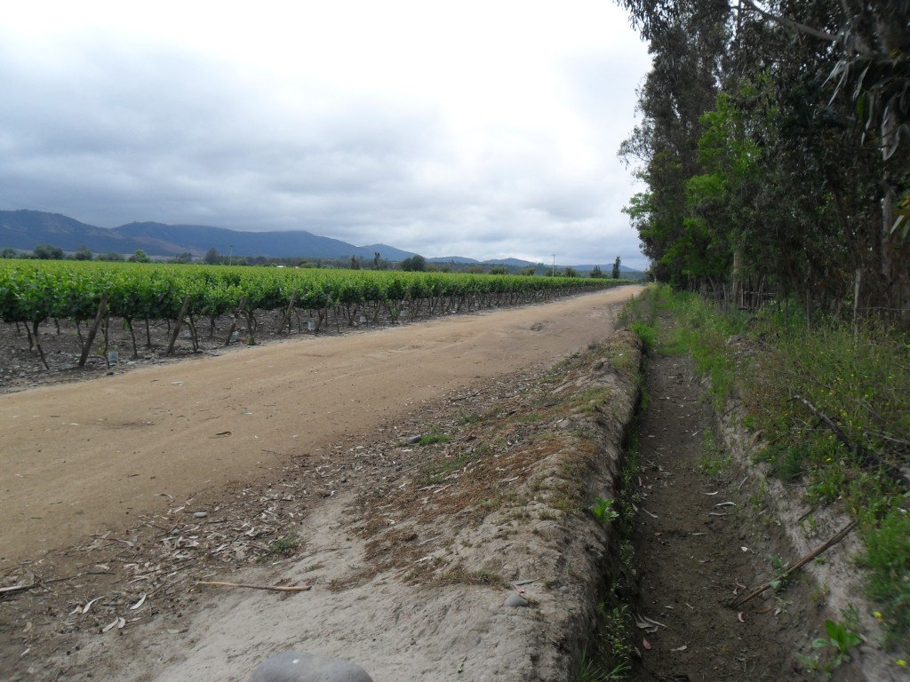 Foto: Codigua - Melipilla (Región Metropolitana), Chile