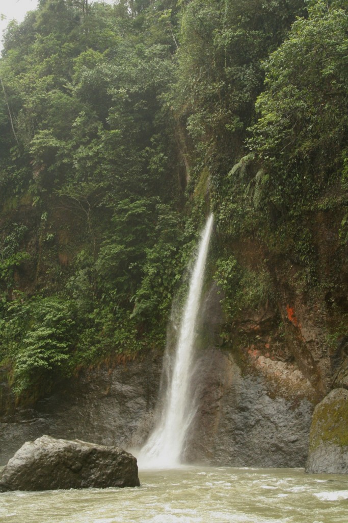 Foto de Pacuare (Limón), Costa Rica