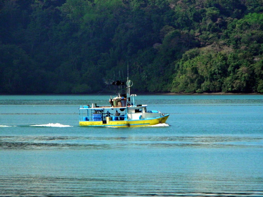 Foto de Golfo Dulce (Puntarenas), Costa Rica