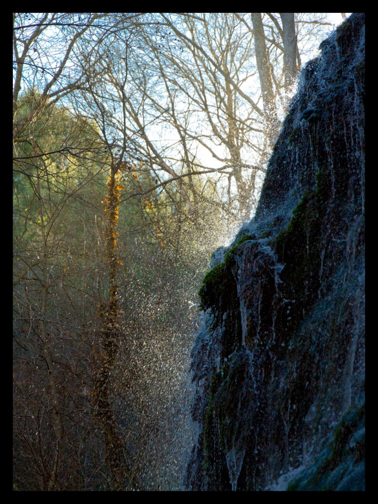 Foto de Zaragoza (Monasterio de Piedra) (Zaragoza), España