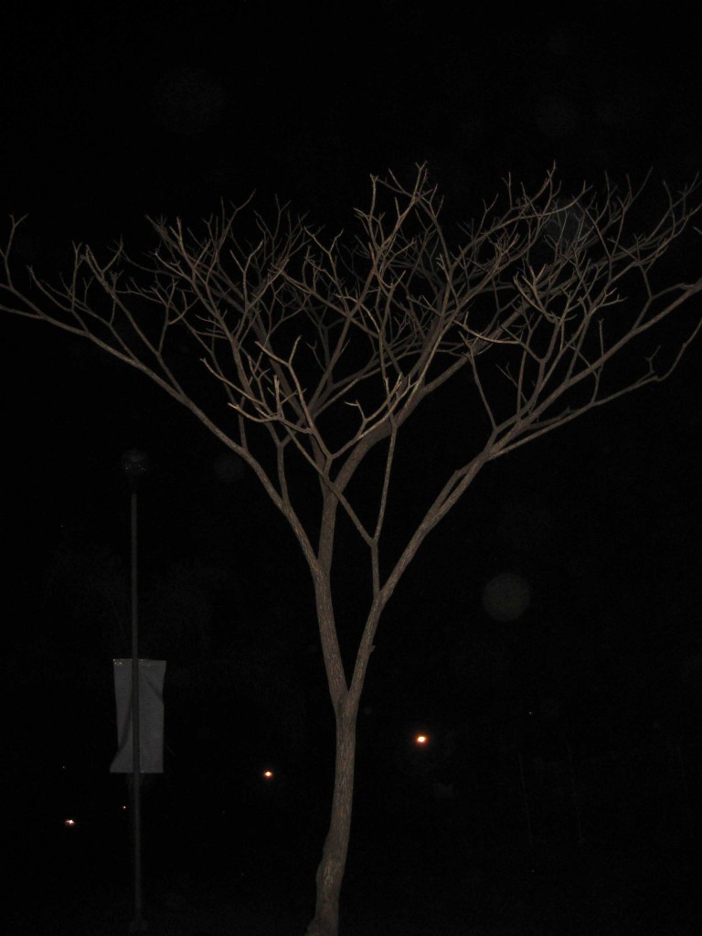 Foto de Tapachula (Chiapas), México