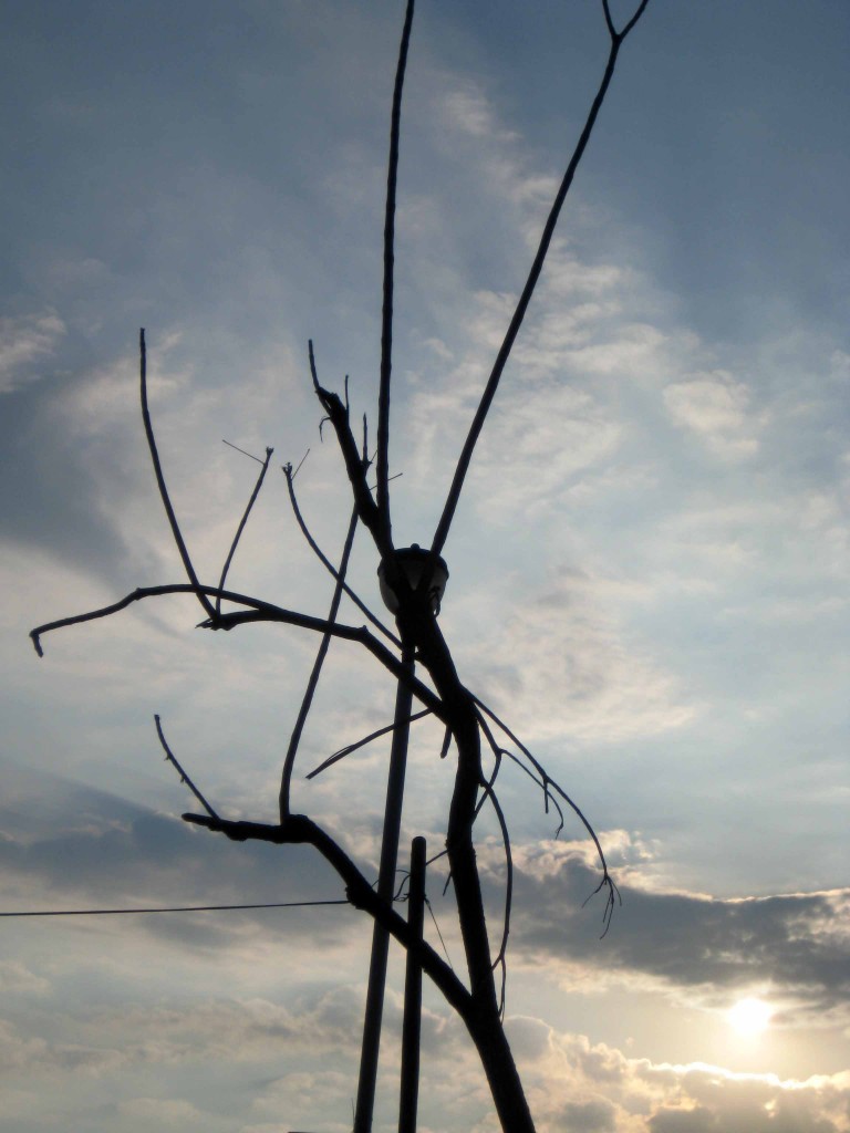 Foto de Tapachula (Chiapas), México