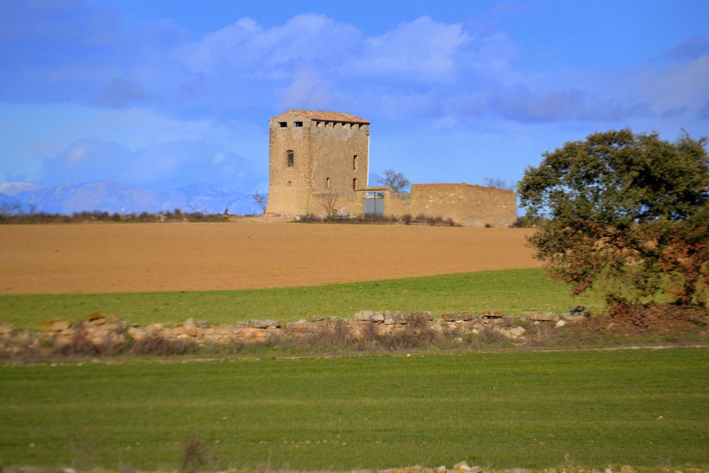 Foto: Torre de Gra - Guissona (Lleida), España