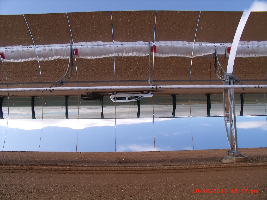 Foto: PELOCAQUI - Palma del Rio (Córdoba), España