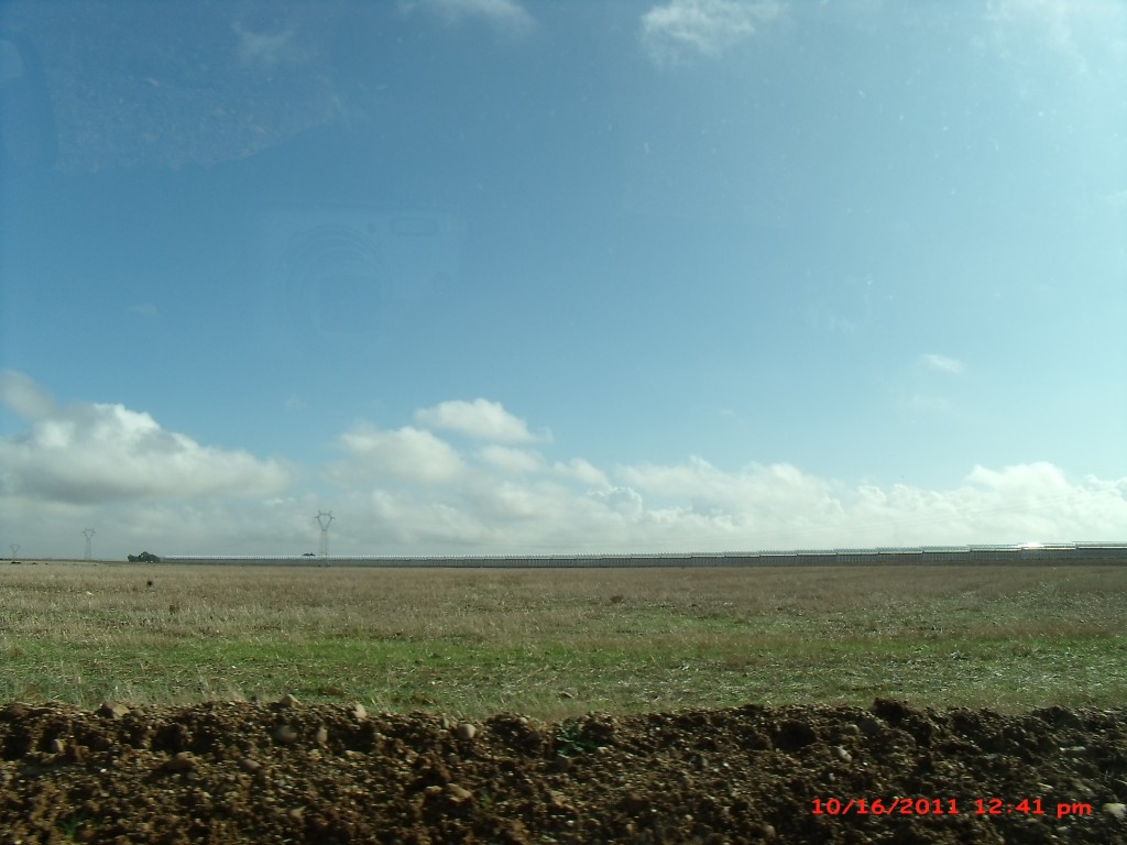 Foto de Palma Del Rio (Córdoba), España