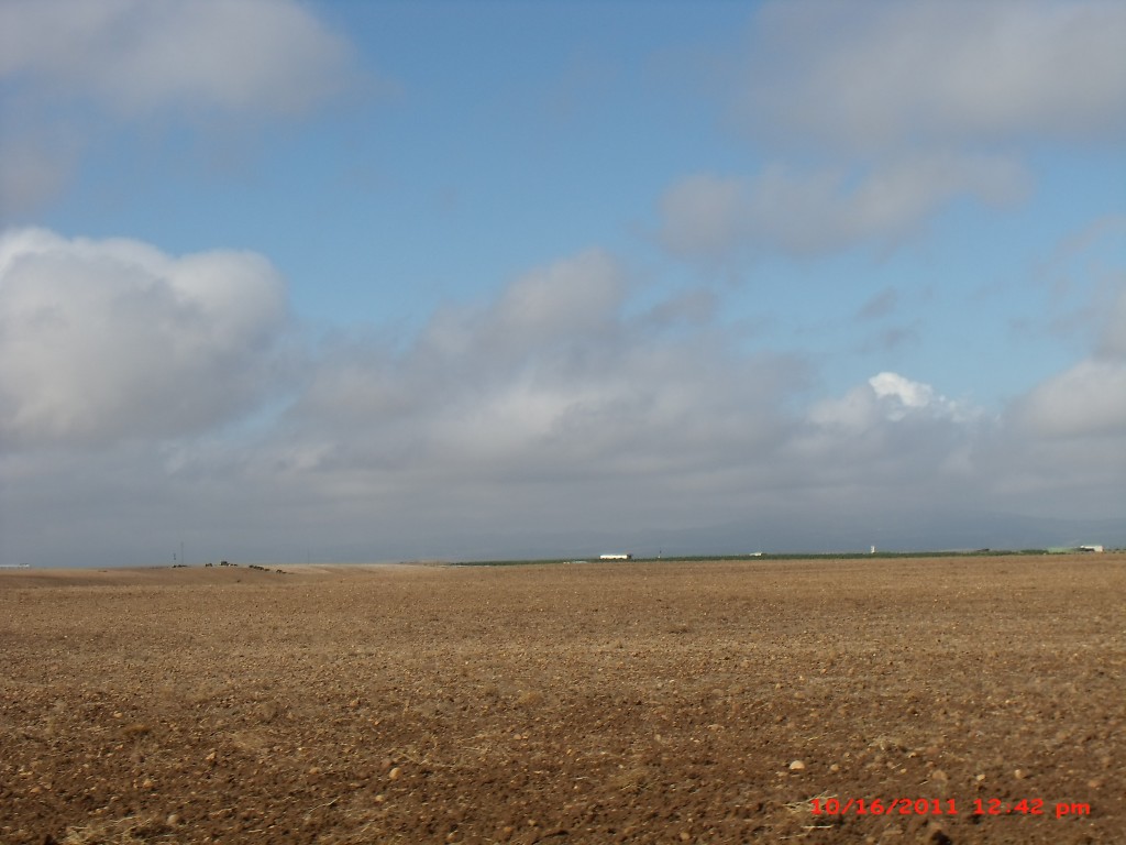 Foto de Palma Del Rio (Córdoba), España