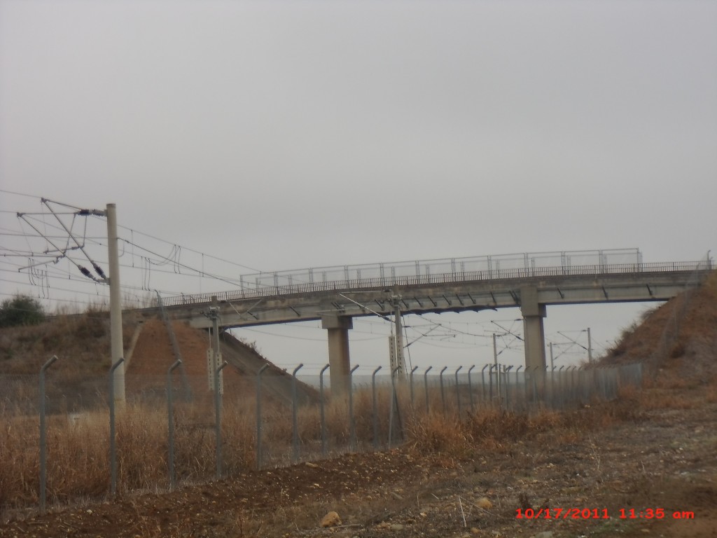Foto de Palma Del Rio (Córdoba), España