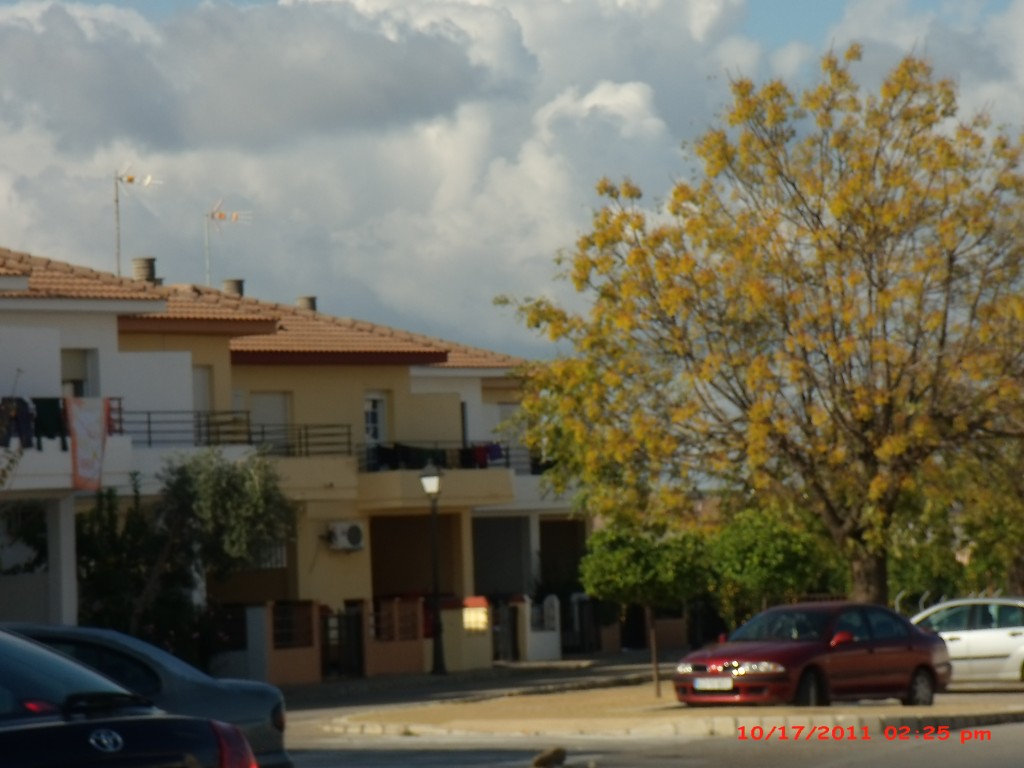 Foto de Palma del Rio (Córdoba), España