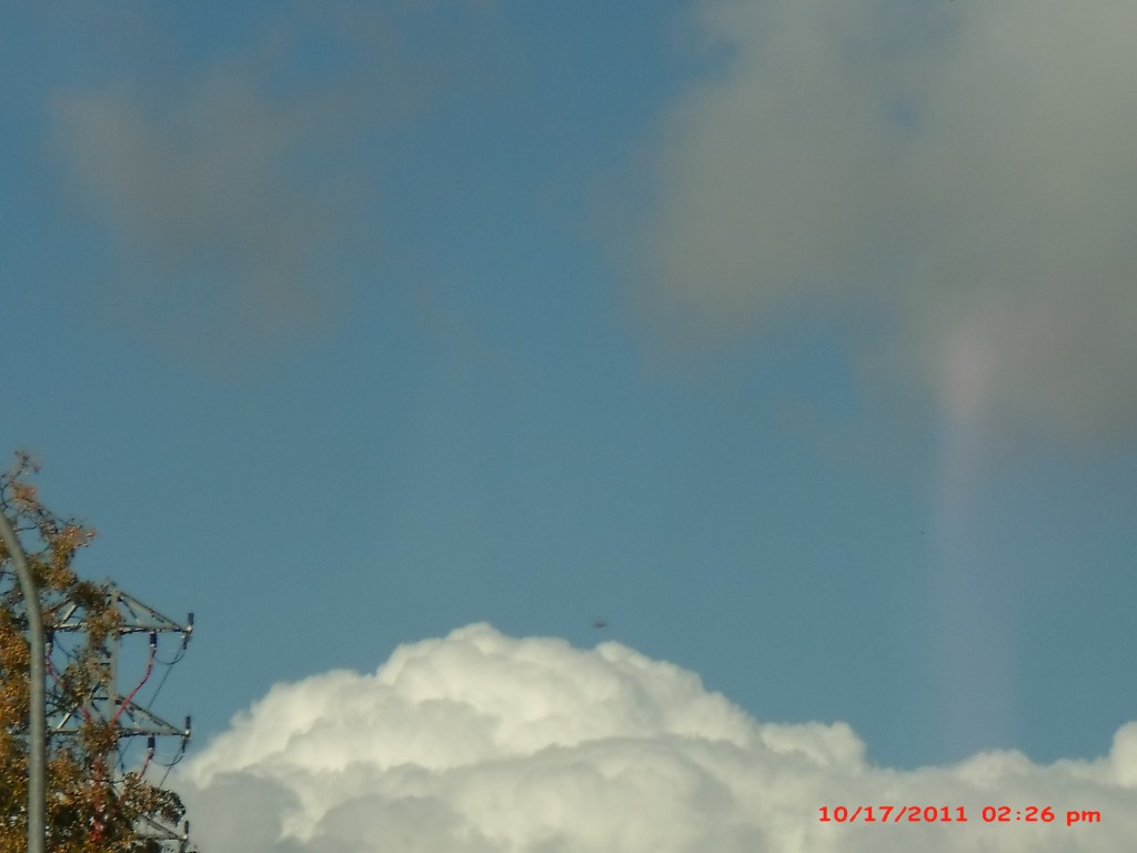 Foto de Palma Del Rio (Córdoba), España