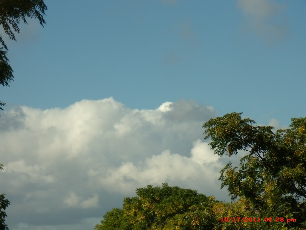 Foto de Palma del Rio (Córdoba), España
