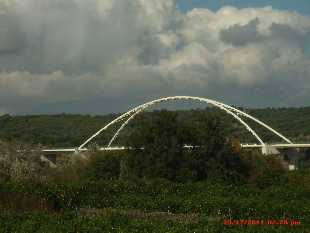 Foto de Palma Del Rio (Córdoba), España
