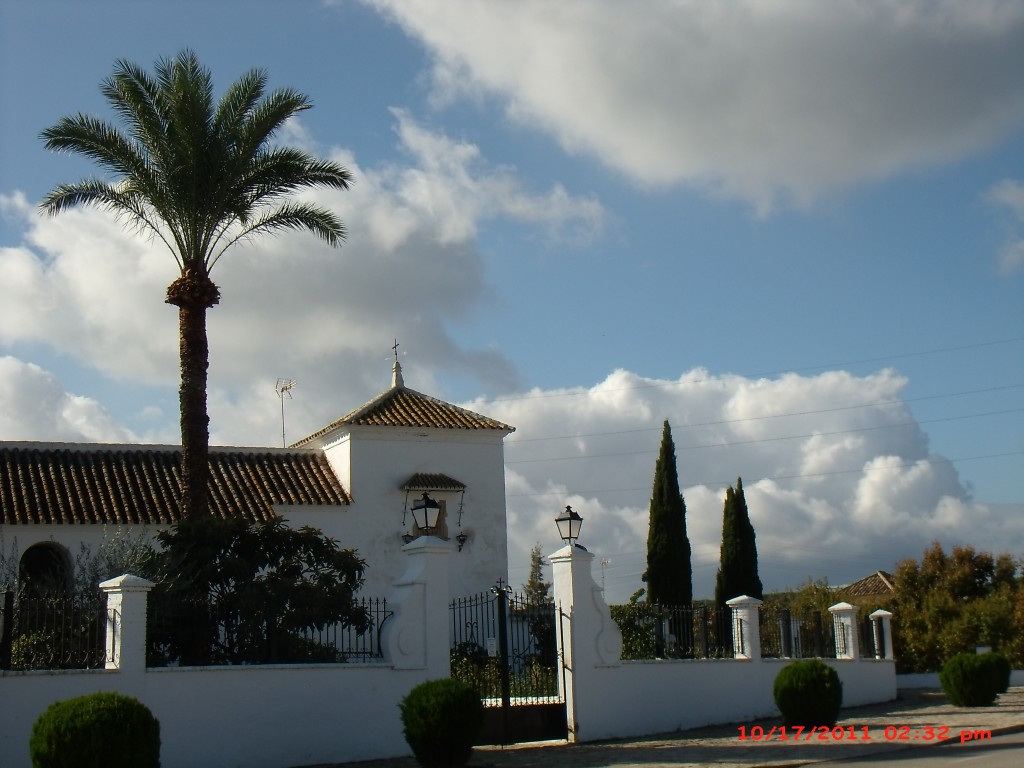 Foto de Palma del Rio (Córdoba), España