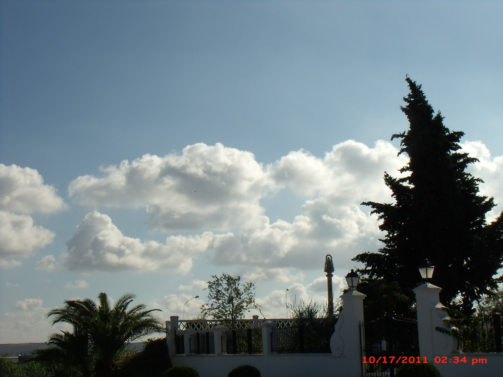 Foto de Palma del Rio (Córdoba), España