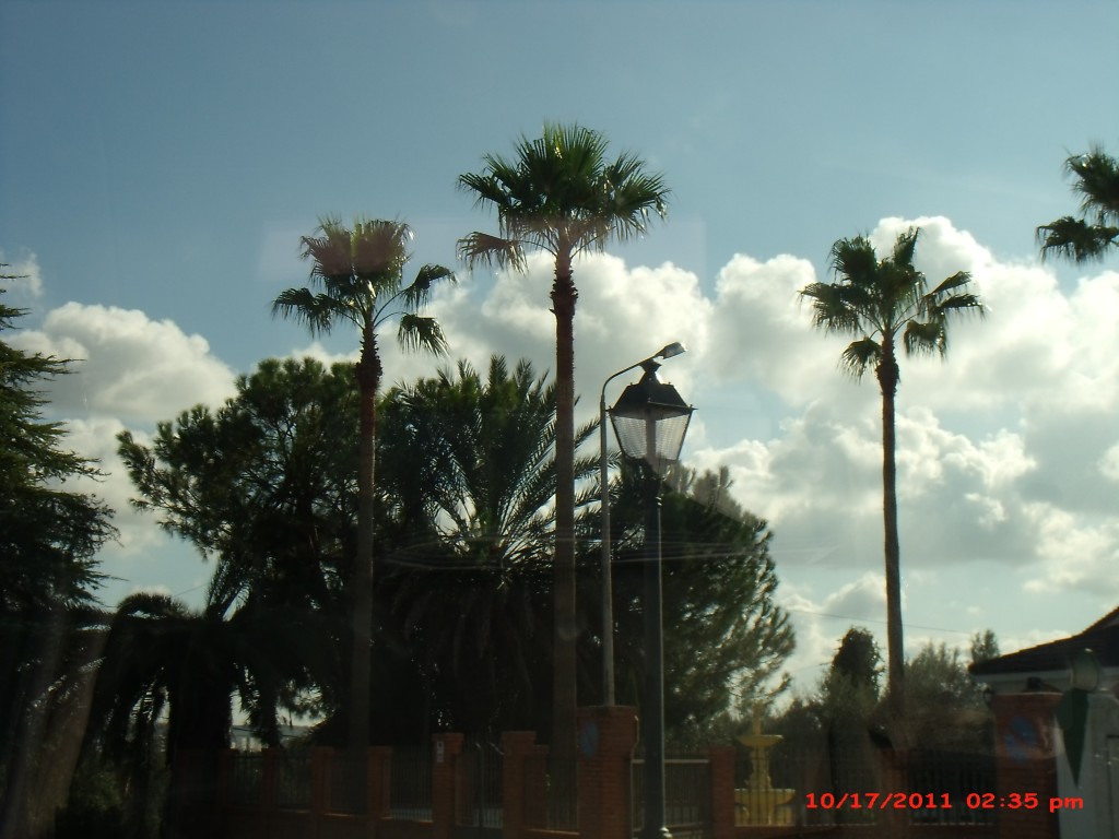 Foto de Palma Del Rio (Córdoba), España