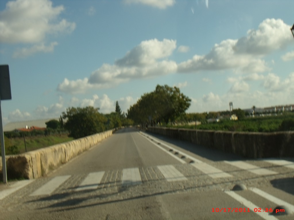 Foto de Palma del Rio (Córdoba), España