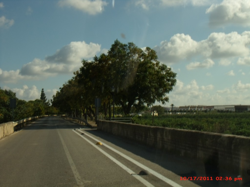 Foto de Palma del Rio (Córdoba), España