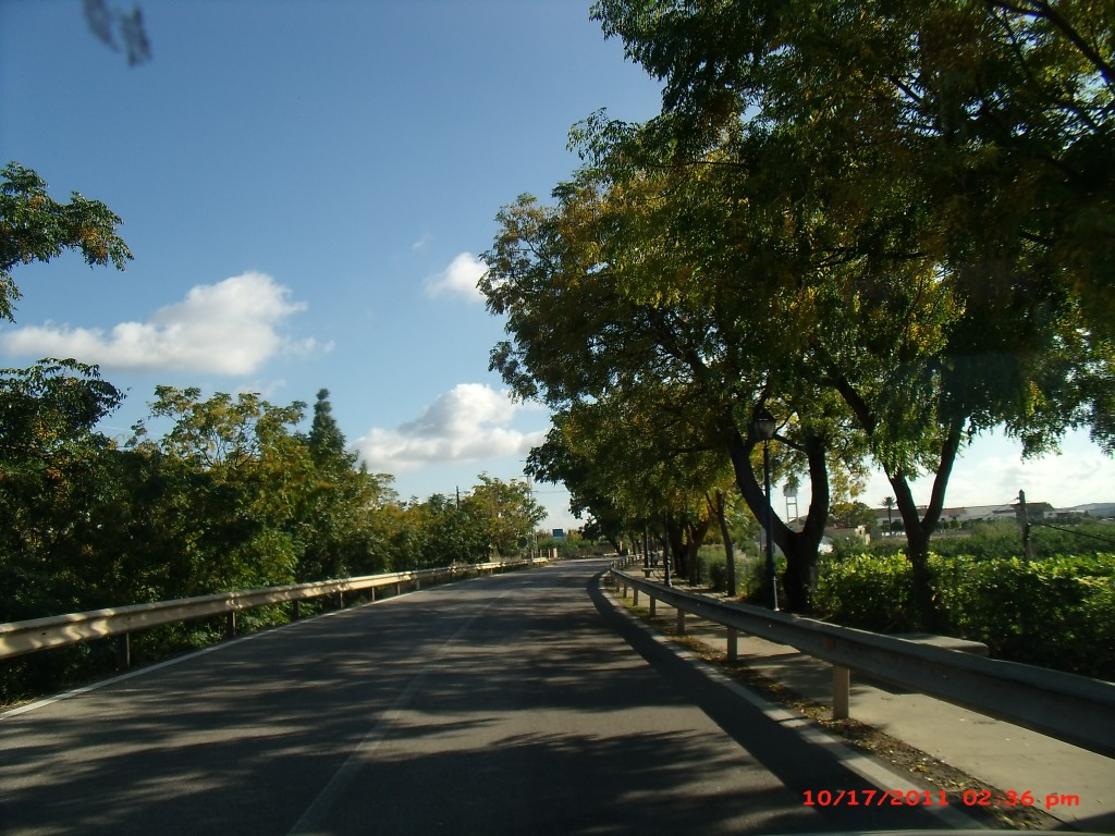 Foto de Palma Del Rio (Córdoba), España