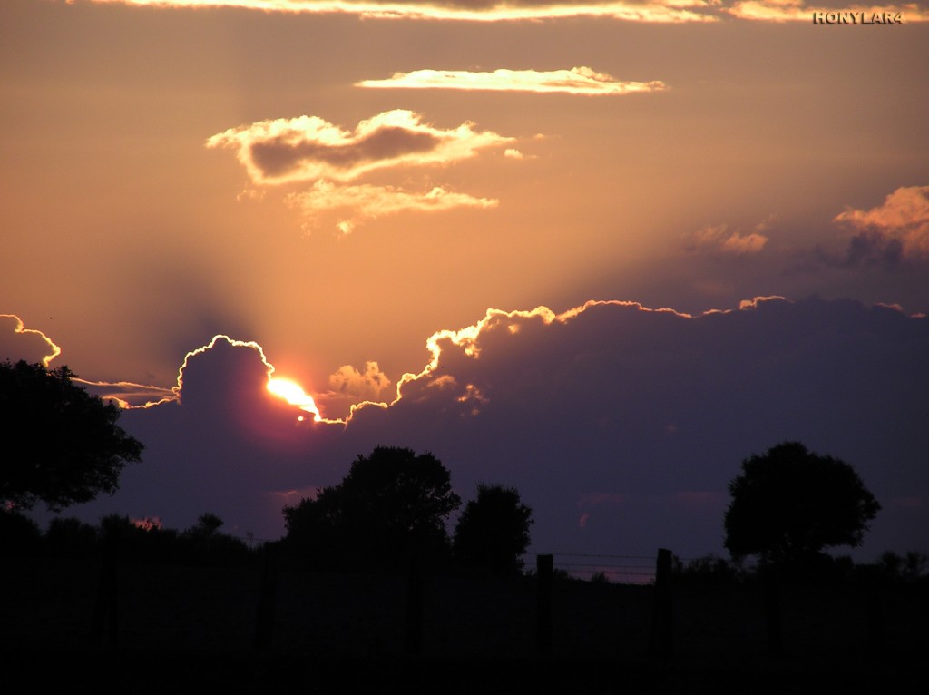 Foto: * ATARDECER - Ibahernando (Cáceres), España