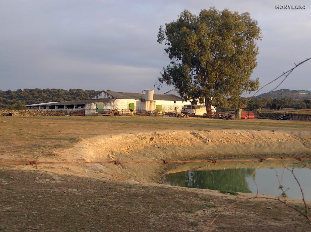 Foto: * CASA DE CAMPO - Ibahernando (Cáceres), España