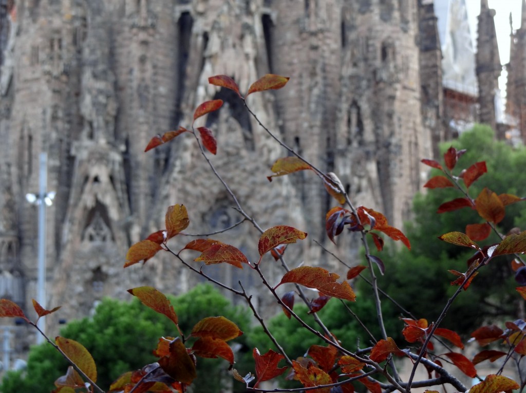 Foto: Sagrada Familia - Barcelona (Cataluña), España