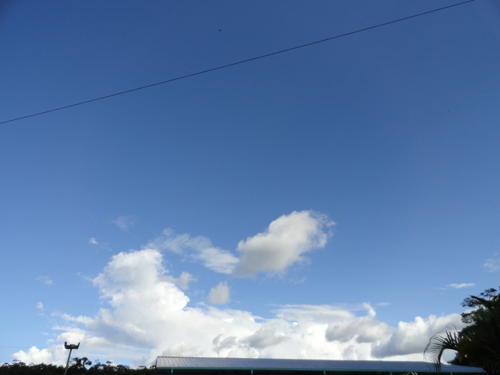 Foto: Vista al cielo - Mera (Pastaza), Ecuador