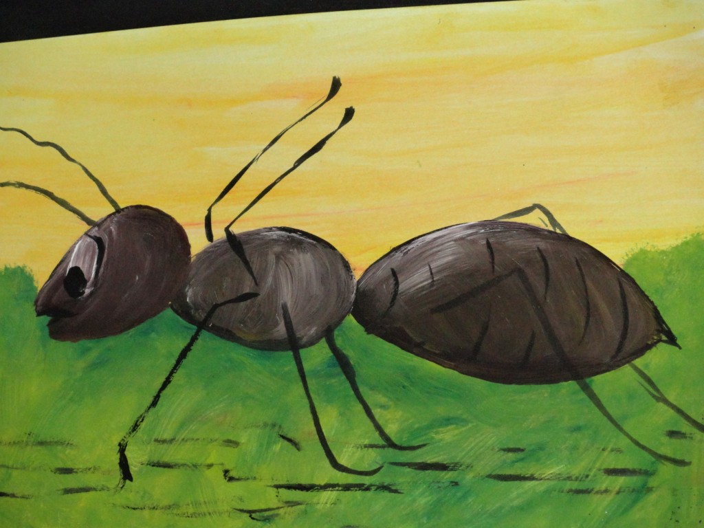 Foto: Hormiga - Shell (Pastaza), Ecuador