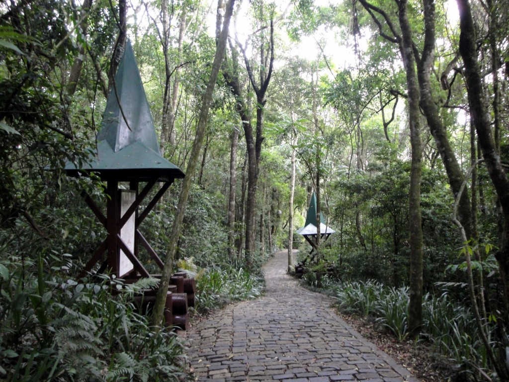 Foto: A Trilha de João e Maria - Curitiba (Paraná), Brasil