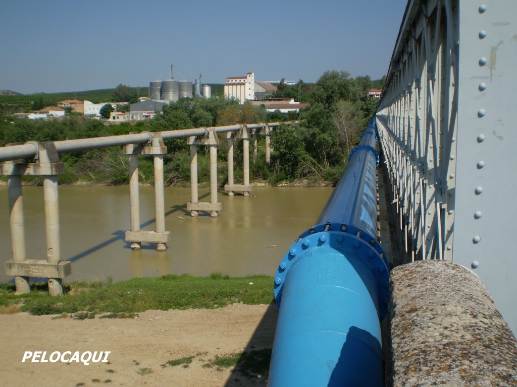 Foto de Palma Del Rio (Córdoba), España