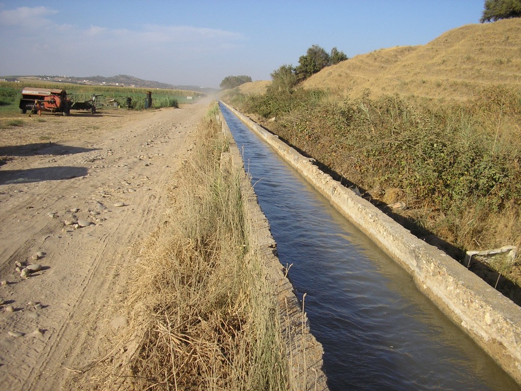 Foto de Palma Del Rio (Córdoba), España