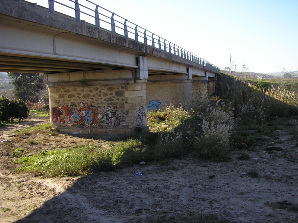 Foto de Palma Del Rio (Córdoba), España