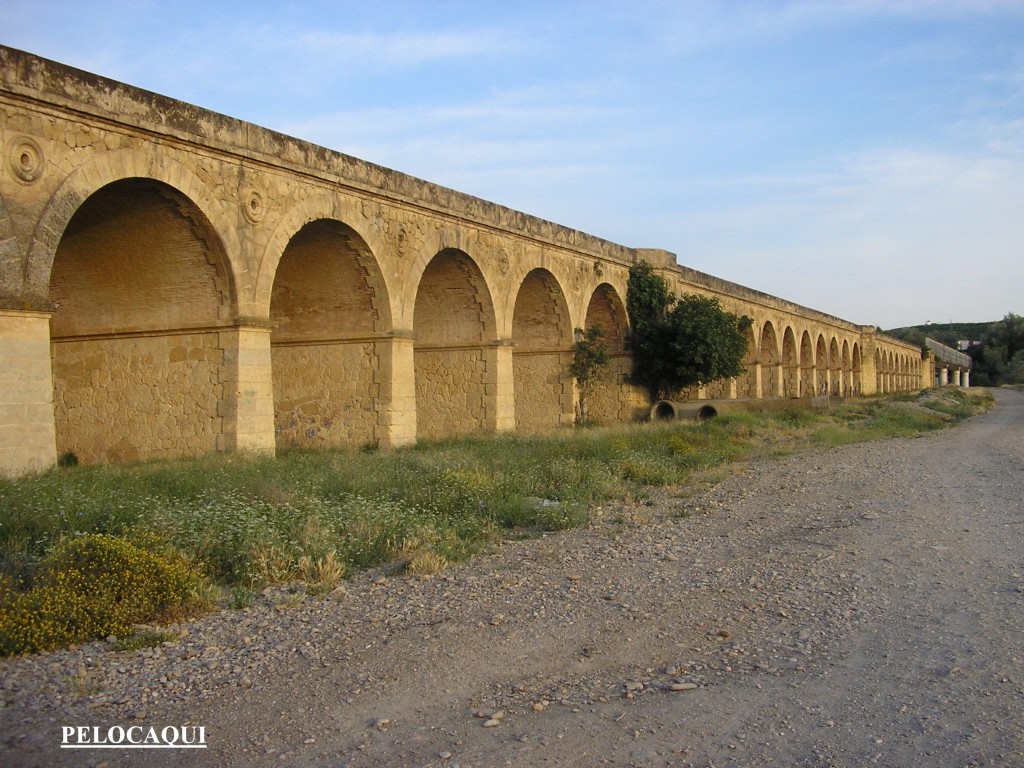 Foto de Palma Del Rio (Córdoba), España