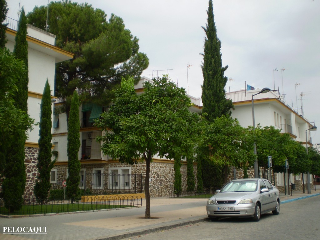 Foto de Palma Del Rio (Córdoba), España
