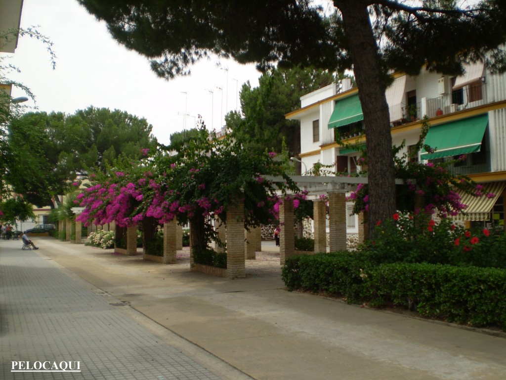 Foto de Palma Del Rio (Córdoba), España