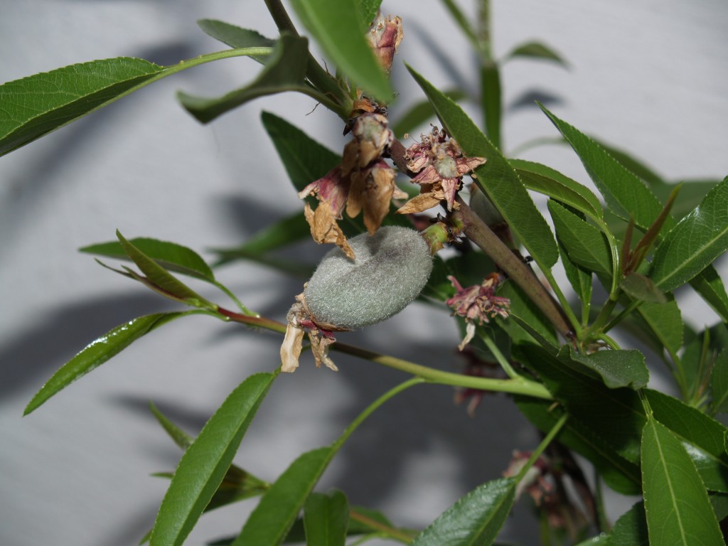 Foto de Atarfe (Granada), España