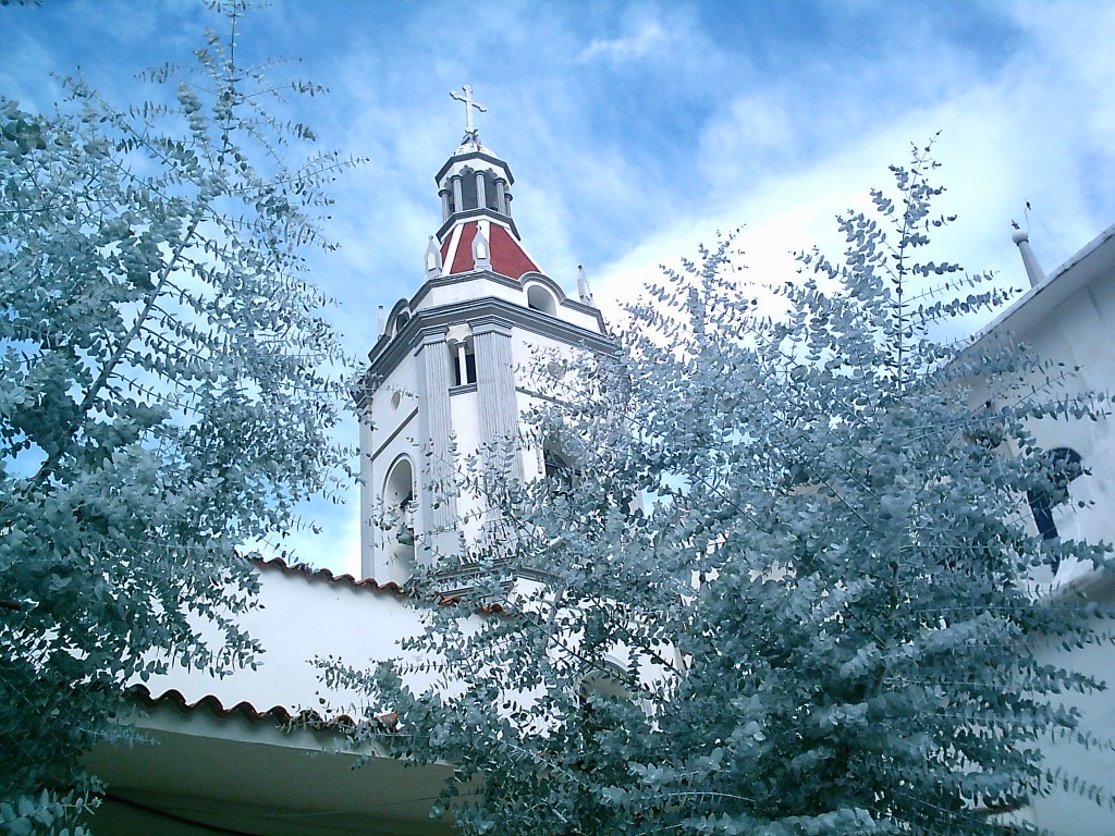 Foto: EUCALIPTO DE IGLESIA DE CARACHE - Carache (Trujillo), Venezuela