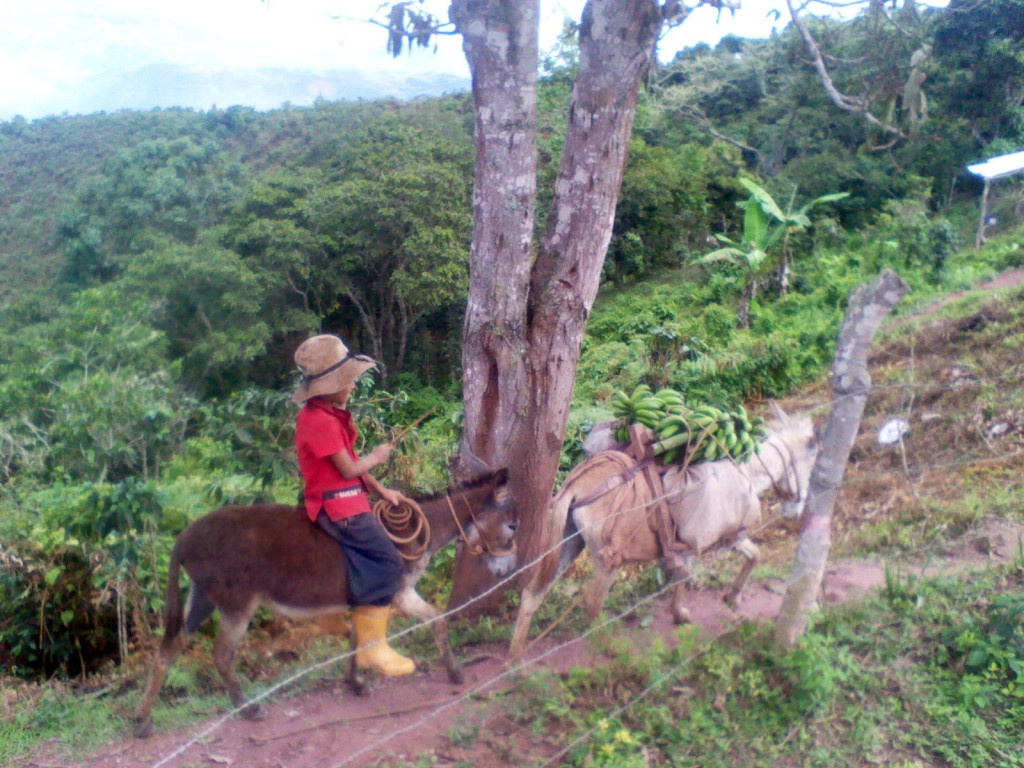 Foto: NIÑO DEL PÁRAMO EN SANTO DOMINGO - Carache (Trujillo), Venezuela