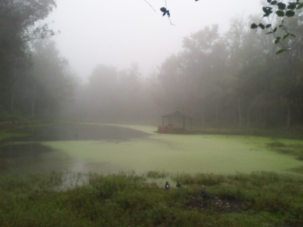 Foto: NEBLINA DE LA LOMA DE BONILLA - Carache (Trujillo), Venezuela