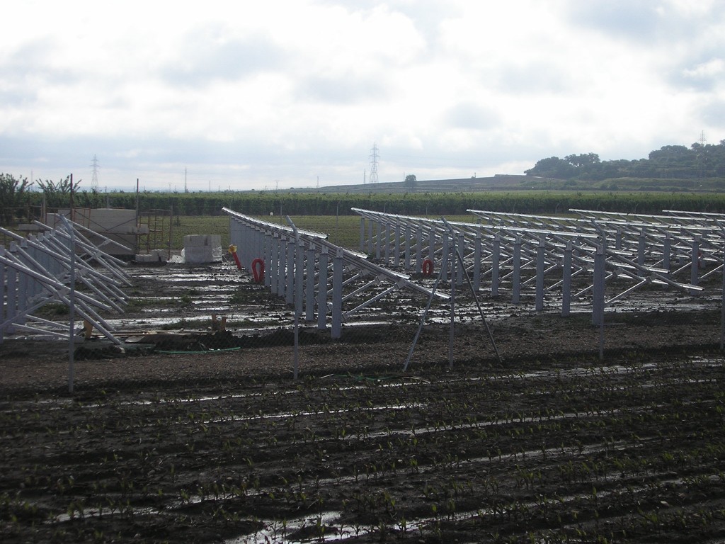 Foto de Palma Del Rio (Córdoba), España