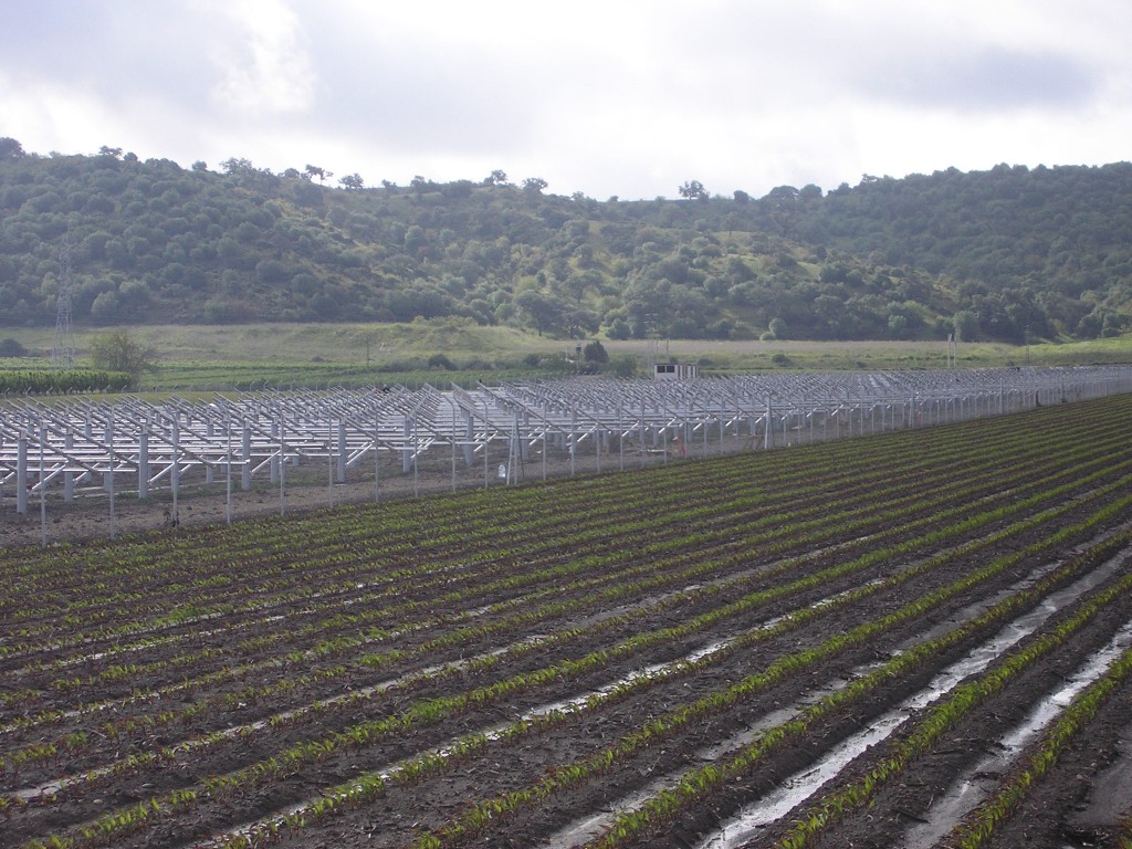 Foto de Palma Del Rio (Córdoba), España