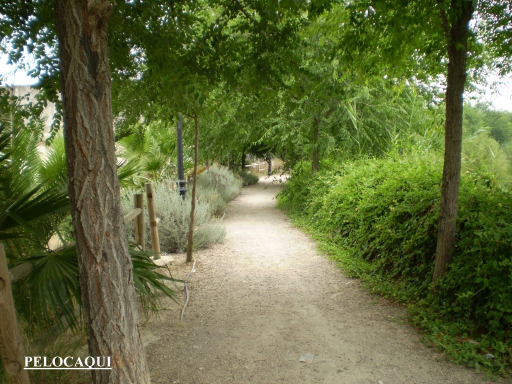 Foto de Palma Del Rio (Córdoba), España