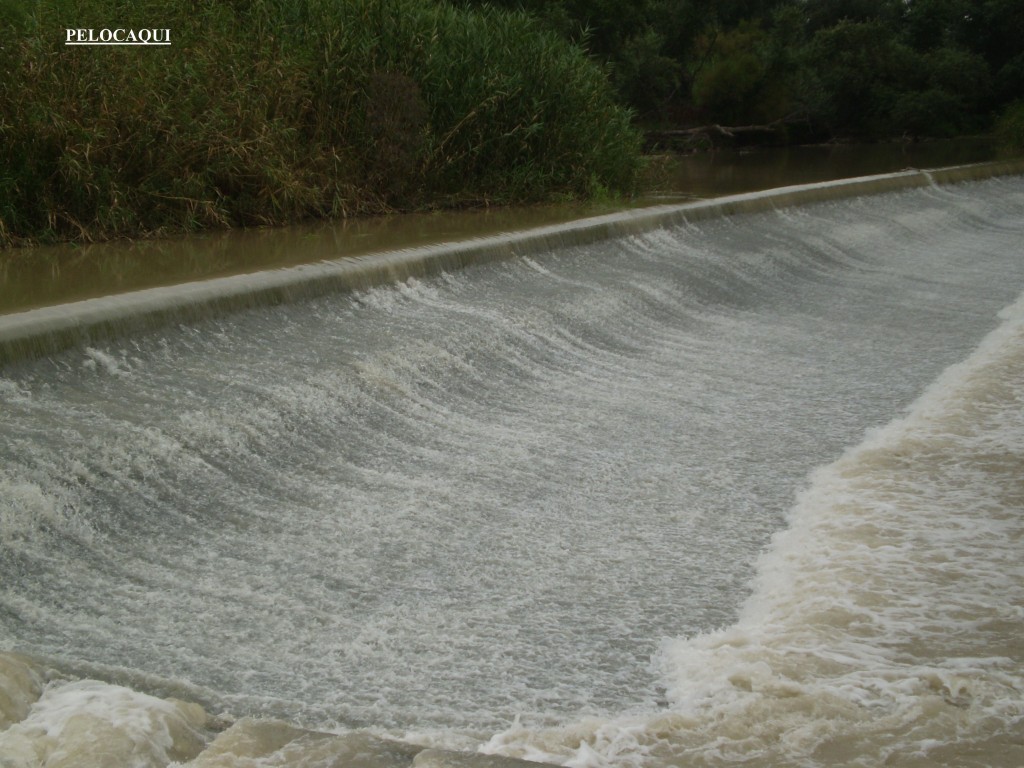 Foto de Palma Del Rio (Córdoba), España