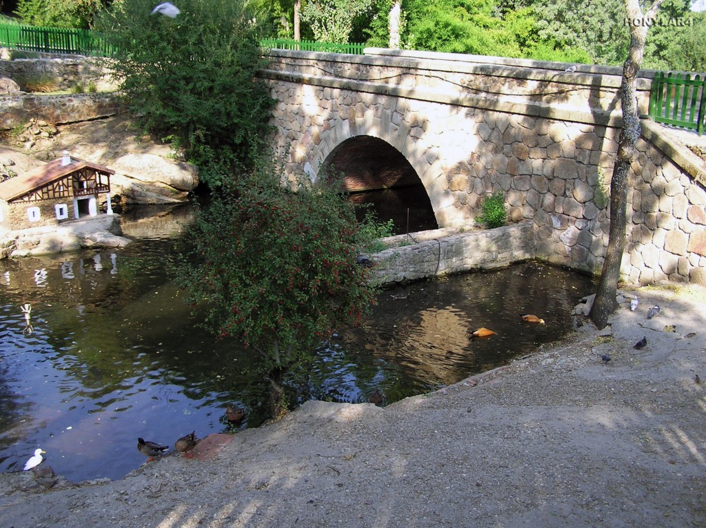 Foto: * PARQUE DE LOS PINOS - Plasencia (Cáceres), España