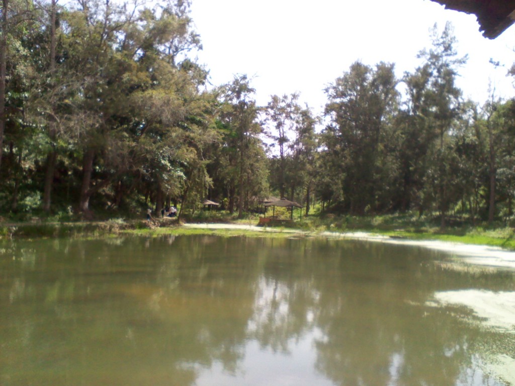 Foto: LAGUNA DEL PARQUE HERMES GUDIÑO - Carache (Trujillo), Venezuela