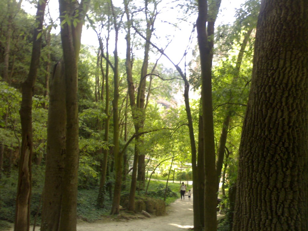 Foto de Palma Del Rio (Córdoba), España
