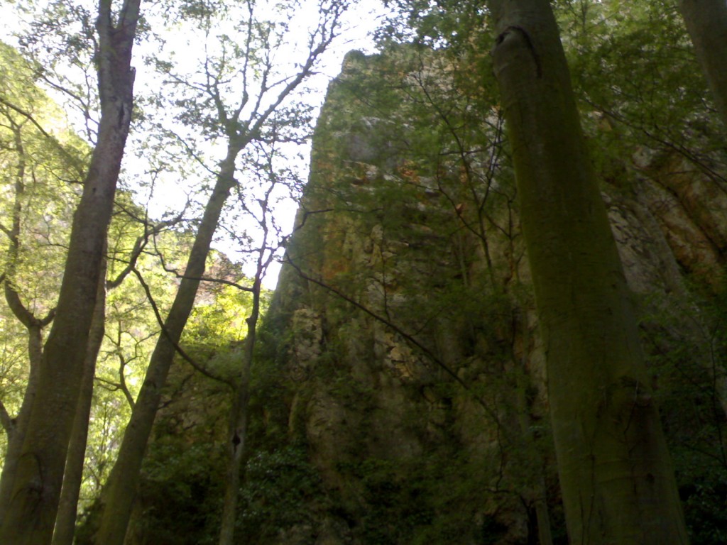 Foto de Palma Del Rio (Córdoba), España
