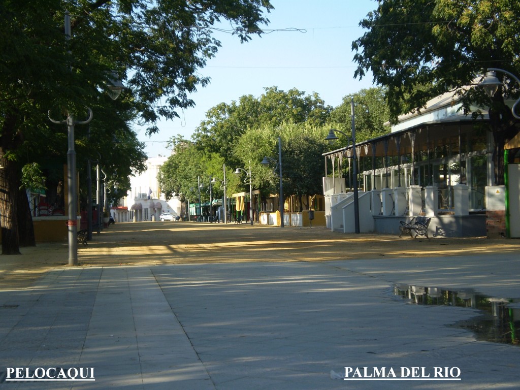 Foto de Palma Del Rio (Córdoba), España