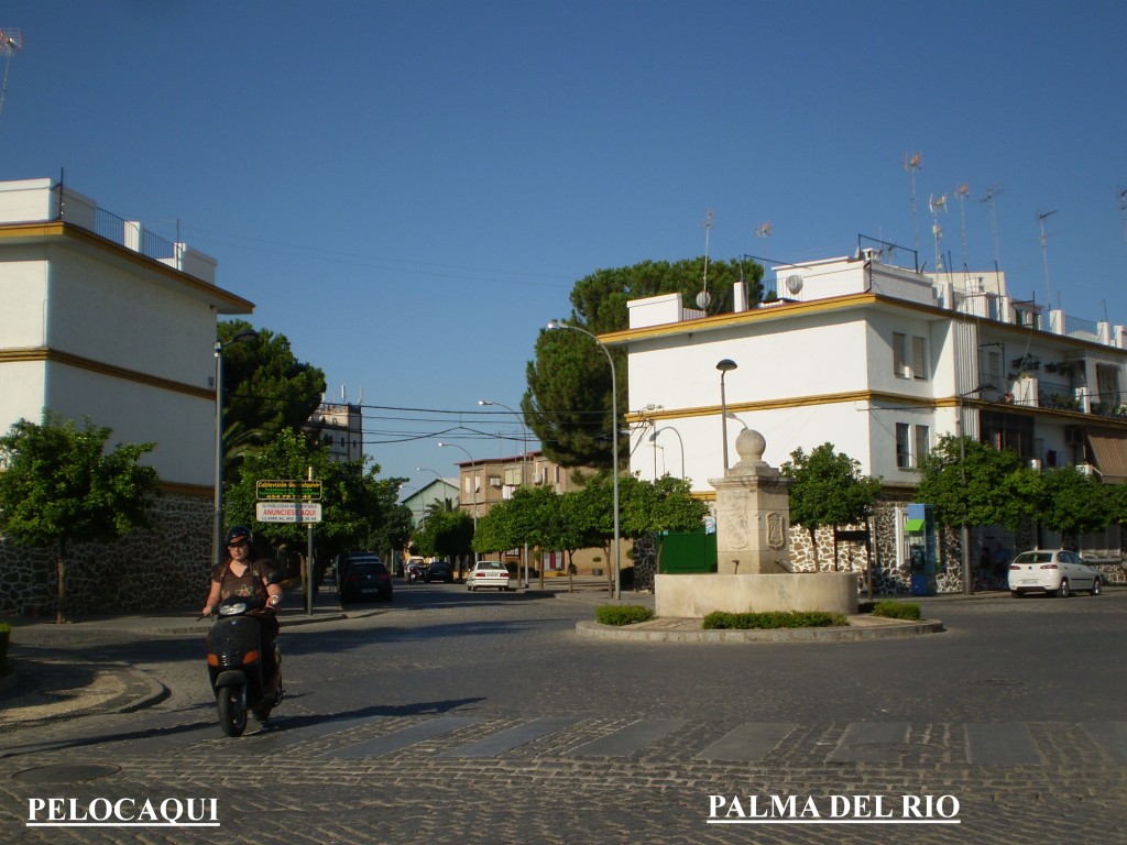 Foto de Palma Del Rio (Córdoba), España