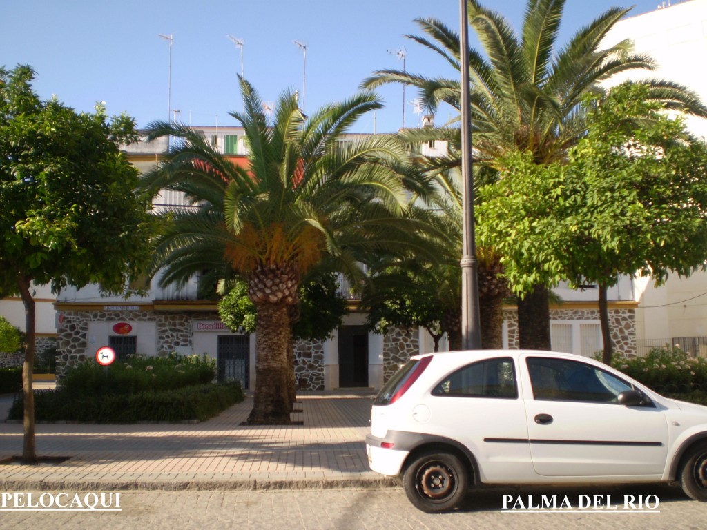 Foto de Palma Del Rio (Córdoba), España