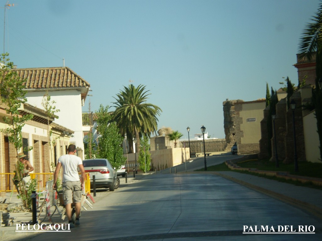 Foto de Palma Del Rio (Córdoba), España
