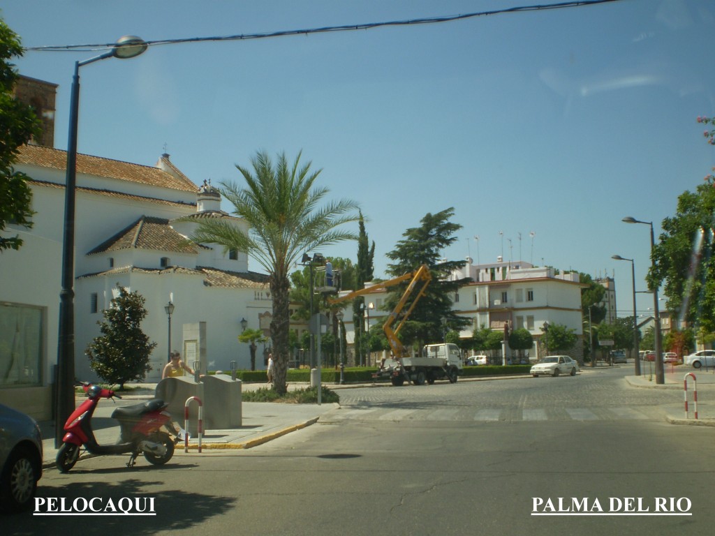 Foto de Palma Del Rio (Córdoba), España